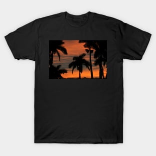 Royal Palm Sunset T-Shirt